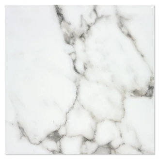 Marmor Klinker Athena Vit Satin 60x60 cm